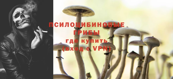 МДПВ Алзамай