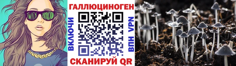 Псилоцибиновые грибы Psilocybe  закладки  Чернушка 
